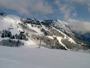 De bosafdalingen bij de Prarion