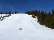 Piste Elk Park Ridge