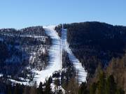 Zwarte Kruckenafdalingen