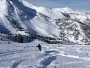 Poedersneeuw in het Gad Valley