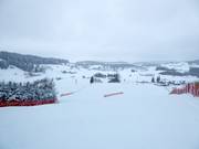 Uitzicht vanaf het bergstation over de Sinswanger skipiste