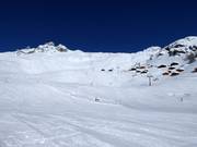 Uitzicht vanaf de Lauchernalp op de Hockenhorn