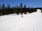 Oefenterrein direct bij de parkeerplaatsen
