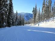 Gemakkelijke piste Mt. Morrisey Connector