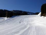 Optimaal voor jonge wedstrijdrijders