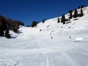 Gemakkelijke piste nr. 6 Paradiso