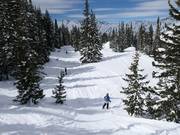 Door de bossen bij de stoeltjeslift Supreme