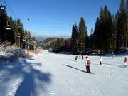 Beginnerspiste Biela Pút