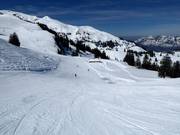 Mauri's carvingpiste