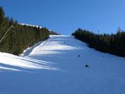 Piste B20 Bürgerwald (zwart)