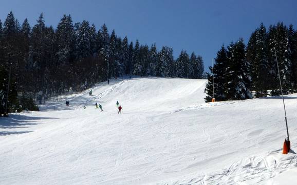 Hoogste dalstation in het zuiden van het Zwarte Woud – skigebied Haldenköpfle