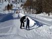 Rosengarten: vriendelijkheid van de skigebieden – Vriendelijkheid Passo San Pellegrino/Falcade