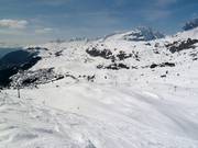 Uitzicht over de Aletsch Arena