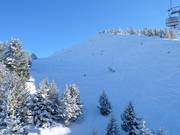 Freeridegebied bij de Weinbergbahn