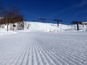 Perfect geprepareerde piste in Grand Hirafu