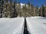 Transportband Thaneller