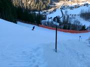 Zwarte Brückenschuss