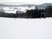 De gemakkelijke piste is zeer geschikt voor beginners.