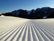 Vers vers geprepareerde piste in het skigebied Spitzingsee-Tegernsee