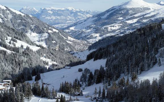 Lenk-Simmental: accomodatieaanbod van de skigebieden – Accommodatieaanbod Adelboden/Lenk – Chuenisbärgli/Silleren/Hahnenmoos/Metsch