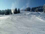 Afdaling bij de Tannlegerlift