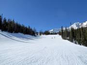 Gemakkelijke piste Lone Wolf