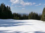 Gemakkelijke piste in Mechi Chal