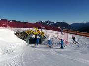 Triassic Funline Steinplatte