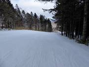 Zeer eenvoudige piste South Road