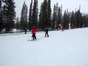 Beginnersgebied Sunny Side met transportbanden