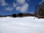Gemakkelijke piste White Lover op de West Mountain