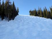 Moeilijke buckelpiste Exhibition