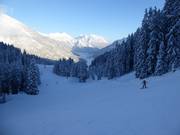 Bovenste gemakkelijke deel van de dalafdaling naar de Almkopfbahn richting Bichlbach