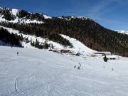 Makkelijke pistes bij de Alm-Express en bij de transportband