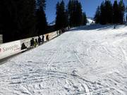 Tip voor de kleintjes  - Tigignas-park