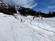 Minilift Ehrwalder Alm - Sleeplift/babyllift