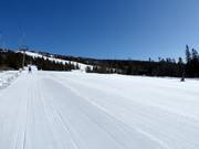 Piste Nedre Bøseter Nr. 29