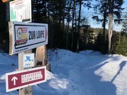 Geißkopf – Bischofsmais