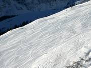 Zeer goede pistepreparatie