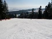 Middelzware afdaling 6a