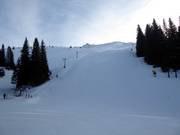 Piste Olimpik 5 (FIS)