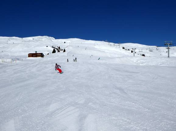 Alp Dado piste