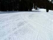 Perfect geprepareerde piste in Kimberley