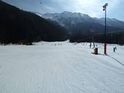 Makkelijke pistes bij de dal-liften