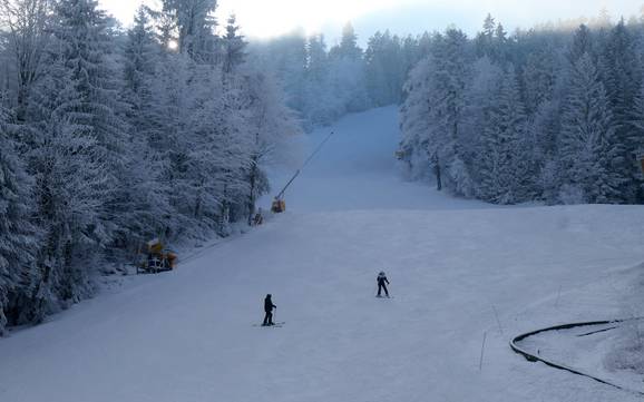 Skigebieden voor beginners in het bestuursdistrict Cham – Beginners Hohenbogen – Neukirchen bei Hl. Blut