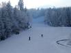 Skigebieden voor beginners in het Beierse Woud – Beginners Hohenbogen – Neukirchen bei Hl. Blut