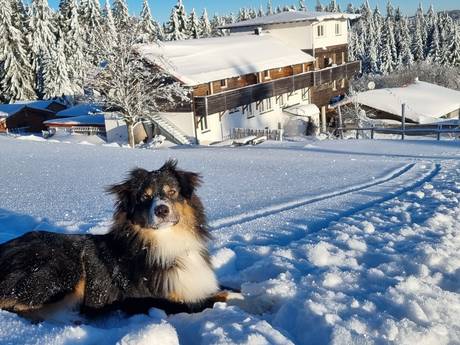 Hunderesort Waldeck