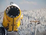 Een van de zeven sneeuwkanonnen