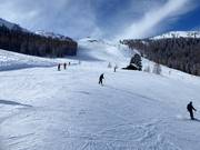 Heerlijk brede Mitterhausafdaling op de Planai