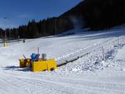 Tappeti Madessa (1,2,3) - Transportband